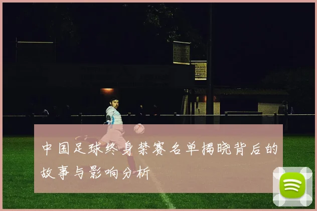 中国足球终身禁赛名单揭晓背后的故事与影响分析