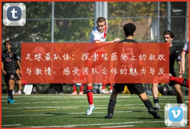 足球最趴体：探索绿茵场上的狂欢与激情，感受团队合作的魅力与友谊的力量