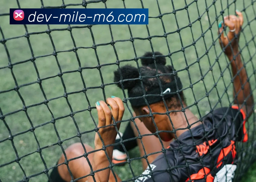 多媒体互动体验