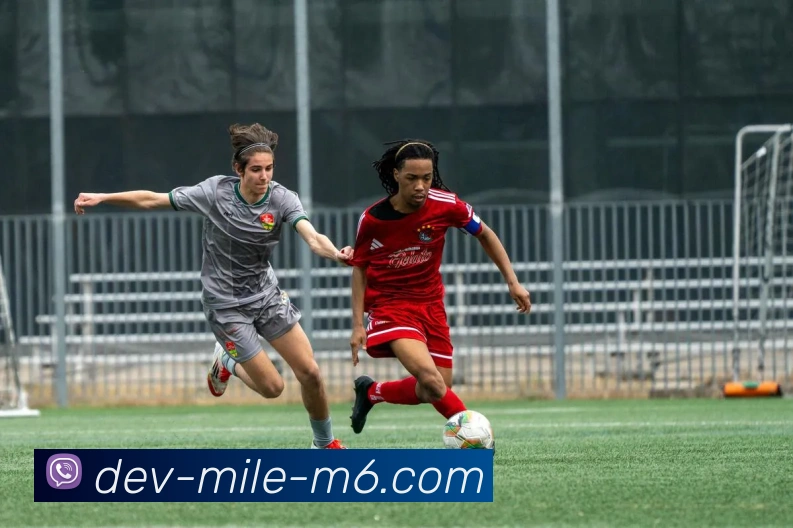 米乐体育官网APP 体育赛事宣传图